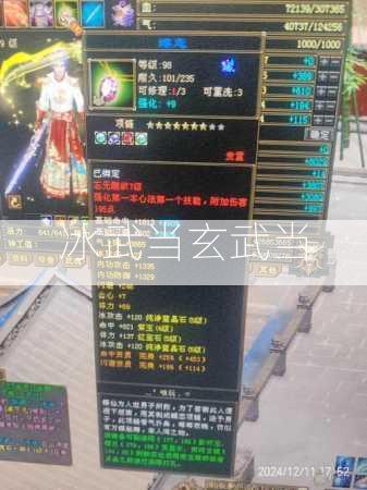 冰武当玄武当  第2张