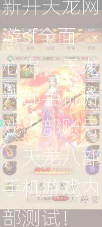 新开天龙网游sf全面心得、天龙八部手机游戏内部账号，天龙八部手机游戏内部测试！  第3张