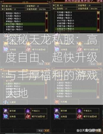 探秘天龙私服：高度自由、超快升级与丰厚福利的游戏天地  第3张