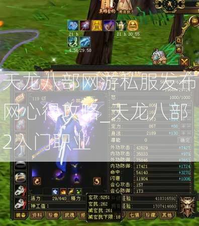 天龙八部网游私服发布网心得攻略_天龙八部2入门职业