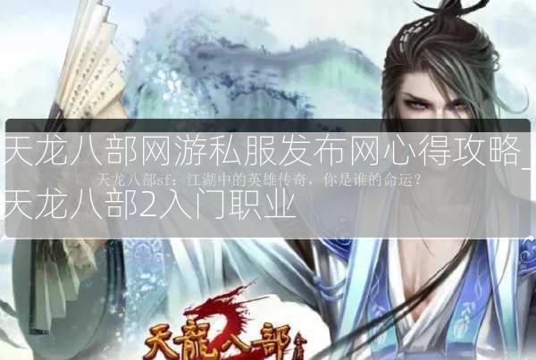 天龙八部网游私服发布网心得攻略_天龙八部2入门职业  第2张