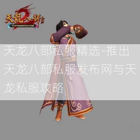 天龙八部私服精选-推出天龙八部私服发布网与天龙私服攻略  第3张