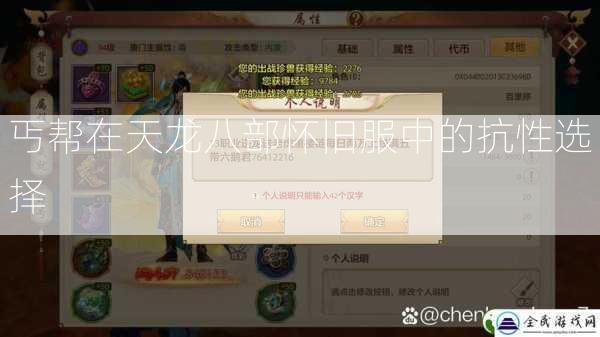 丐帮在天龙八部怀旧服中的抗性选择