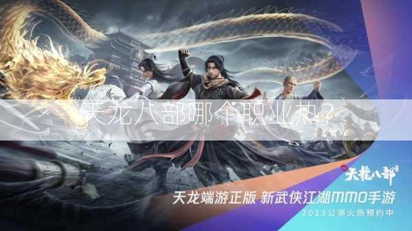 天龙八部哪个职业热？  第2张