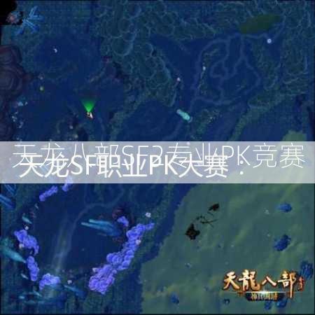 天龙八部SF2专业PK竞赛