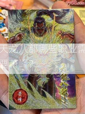天龙八部哪些职业需要萧峰？