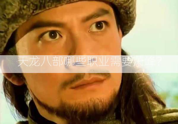 天龙八部哪些职业需要萧峰？  第2张