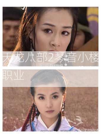 天龙八部2琴音小楼职业  第2张