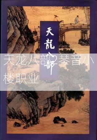 天龙八部2琴音小楼职业  第3张
