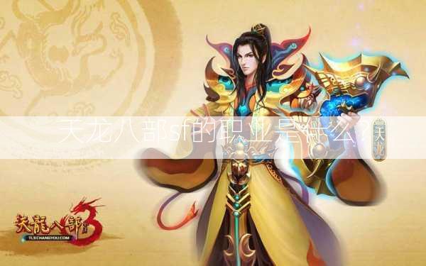 天龙八部sf的职业是什么？  第2张