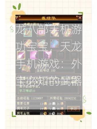 天龙八部手机游戏外功宝宝，天龙八部手机游戏：外功宝宝必知的武器策略  第3张