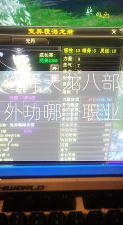 选择天龙八部外功哪个职业？