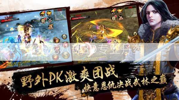 天龙八部3D专业丹药  第2张