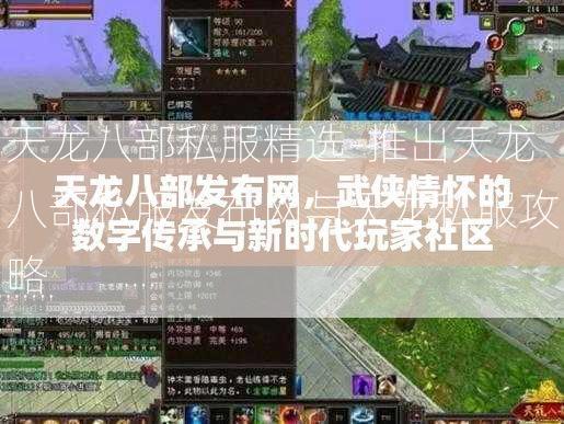天龙八部私服精选-推出天龙八部私服发布网与天龙私服攻略