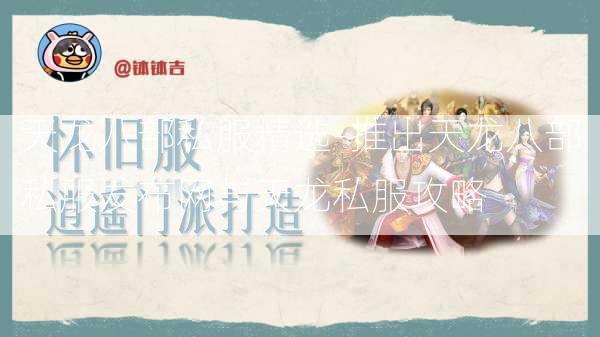 天龙八部私服精选-推出天龙八部私服发布网与天龙私服攻略  第3张