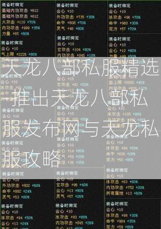 天龙八部私服精选-推出天龙八部私服发布网与天龙私服攻略
