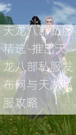 天龙八部私服精选-推出天龙八部私服发布网与天龙私服攻略  第4张