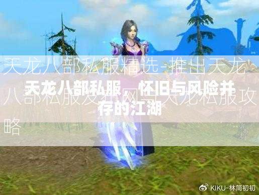 天龙八部私服精选-推出天龙八部私服发布网与天龙私服攻略  第3张