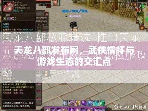 天龙八部私服精选-推出天龙八部私服发布网与天龙私服攻略