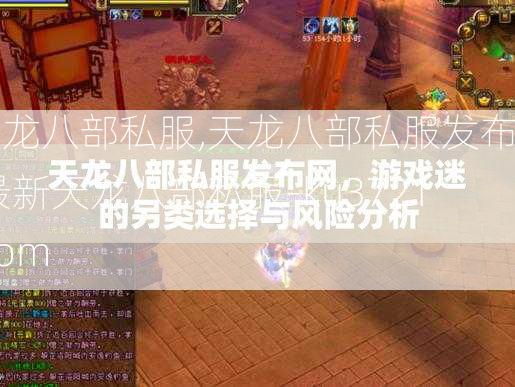 天龙八部私服,天龙八部私服发布网,最新天龙八部私服-ku3721.com  第3张
